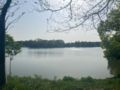 -苏州太湖国家湿地公园