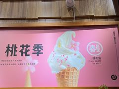 -野人先生现做冰淇淋(北京顺义祥云小镇店)