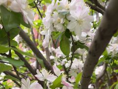 -福娃禧娃幼儿园