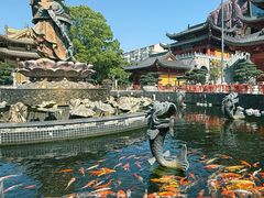 -上海东林寺(金山区)