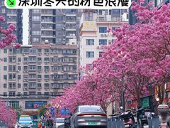 -1点点(清湖地铁店)