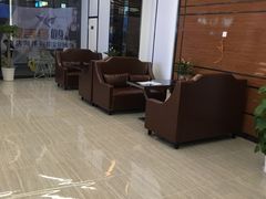 -金吉鸟健身游泳