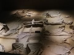 -洛阳周王城天子驾六博物馆