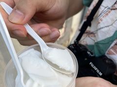 -洪馨椰子