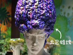 -国家会展中心