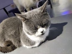-极木²邸 人与宠物·互动社区