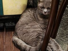 -猫岛主趣味餐厅(鼓浪屿店)