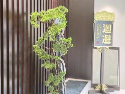 -爱儿美儿童摄影(五路居花园别墅店)