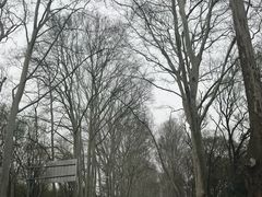 -南京国际会议大酒店