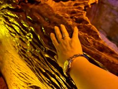 -乐山乌木文化博览苑