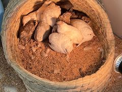 -怪兽屋·羊驼·猫咖·狗咖(俊华广场店)