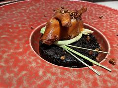 -南堂馆·新川菜(春熙路店)