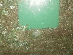 -MOJO密室逃脱(中街旗舰店)