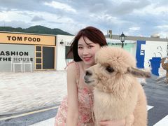 -Blue Concept Cafe&Farm·關於藍