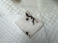 -宠颐生中康贝怡动物医院