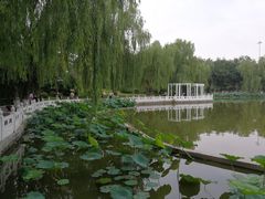 -丰台花园