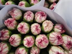 -三圣花乡旅游区