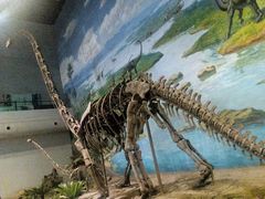 -自贡恐龙博物馆