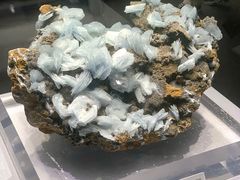 -湖南省地质博物馆