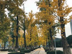 -百林公园-两江幸福广场