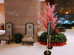 -长沙小天鹅戴斯酒店