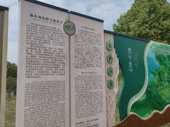 -佛手湖郊野公园