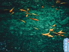 -雁荡山三折瀑景区