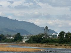 -黄牛肉馆·皖南土菜