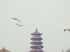 -蓬莱阁景区