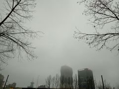 -宋庆龄陵园