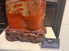 -中华赏石园