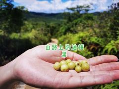 -七娘山