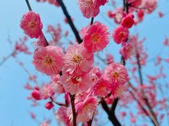 -西北湖绿化广场