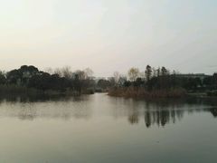 -新江湾城公园