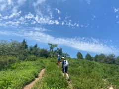 -阳台山自然风景区