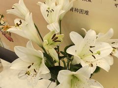 -中国农业博物馆