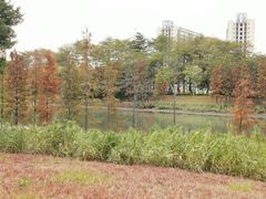 -怡海公园(桂城街道)