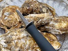 极品生蚝-渔文乐农庄