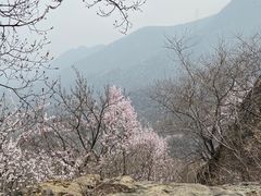-阳台山自然风景区