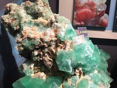 -湖南省地质博物馆