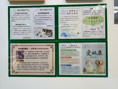 -爱妮康宠物医院·干细胞免疫细胞·肿瘤·心脏(张江店)