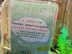 -上海大自然野生昆虫馆(东方明珠·爬宠昆虫探索中心)
