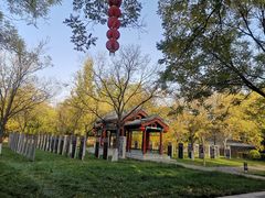 -大槐树寻根祭祖园