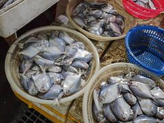 -众彩物流水产市场