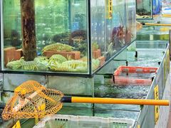 -寻味顺德·南记酒家·传统顺德菜·鱼生(广源路店)