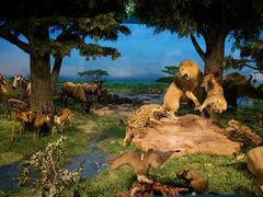 -国家自然博物馆