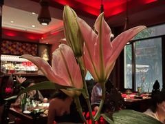 -花马天堂云南餐厅 Lost Heaven(外滩店)