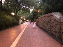 -九龙公园