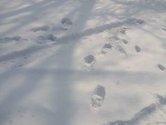 -哈尔滨商业大学(南校区)