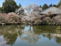-醍醐寺
